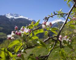 Frühling